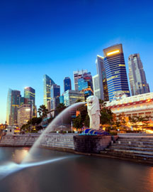 Singapore Extravaganza