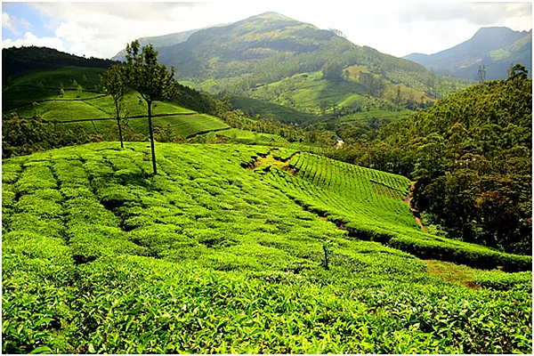 Munnar
