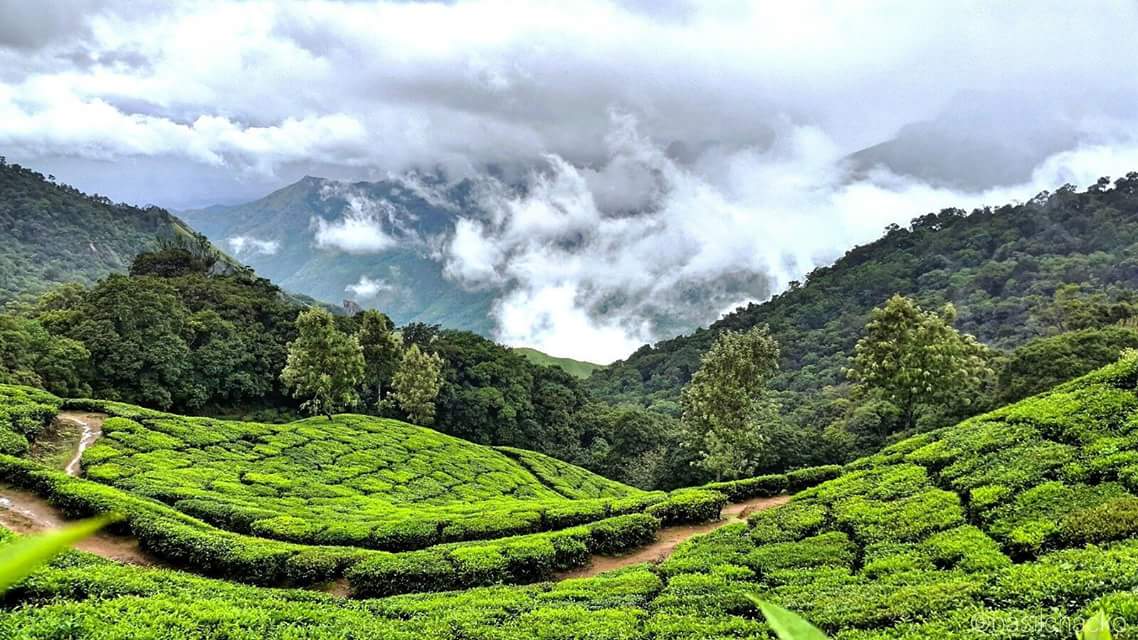 Munnar-top 10 hill station in India.