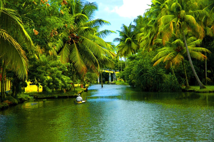 Back_Water_Of_kerala-Soul_of_kerala