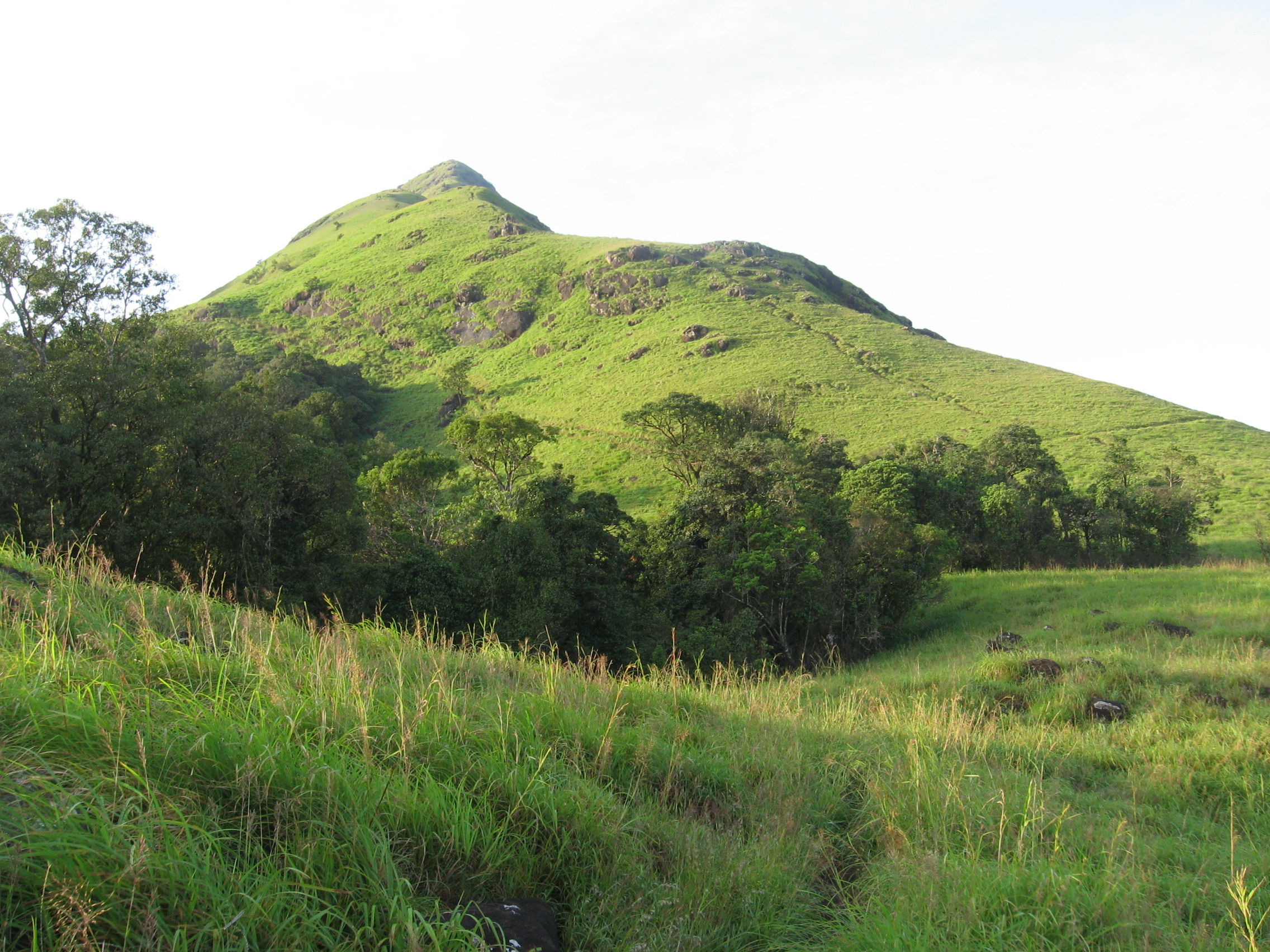 A trek to Chembra Peak