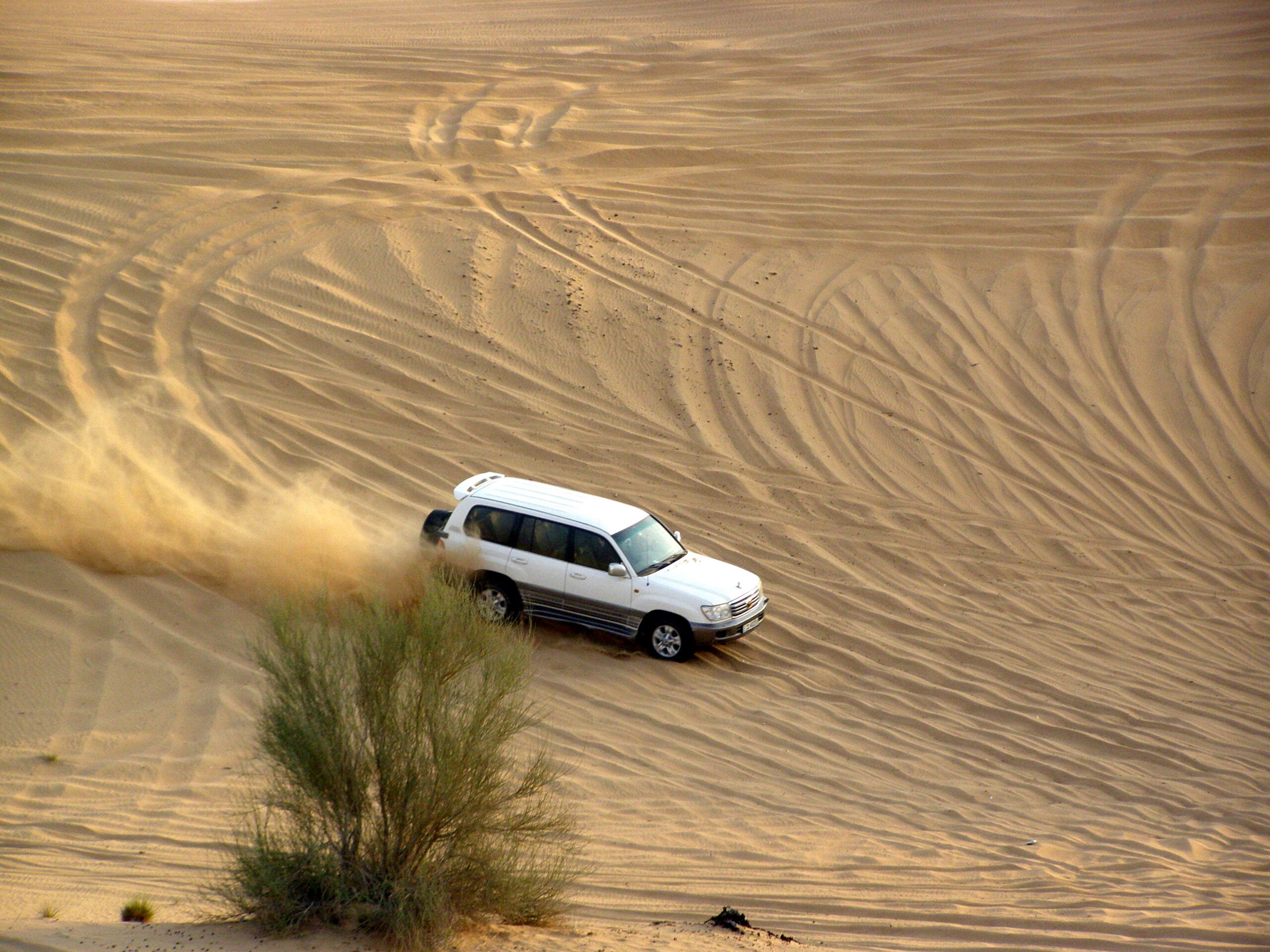 Desert Safari Dubai