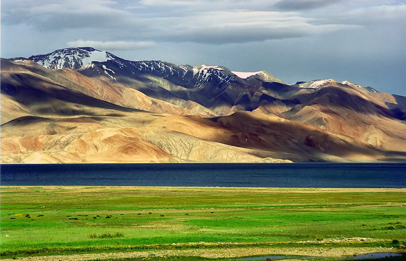 West Tibetan Plateau alpine steppe