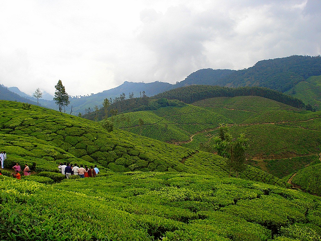 Munnar