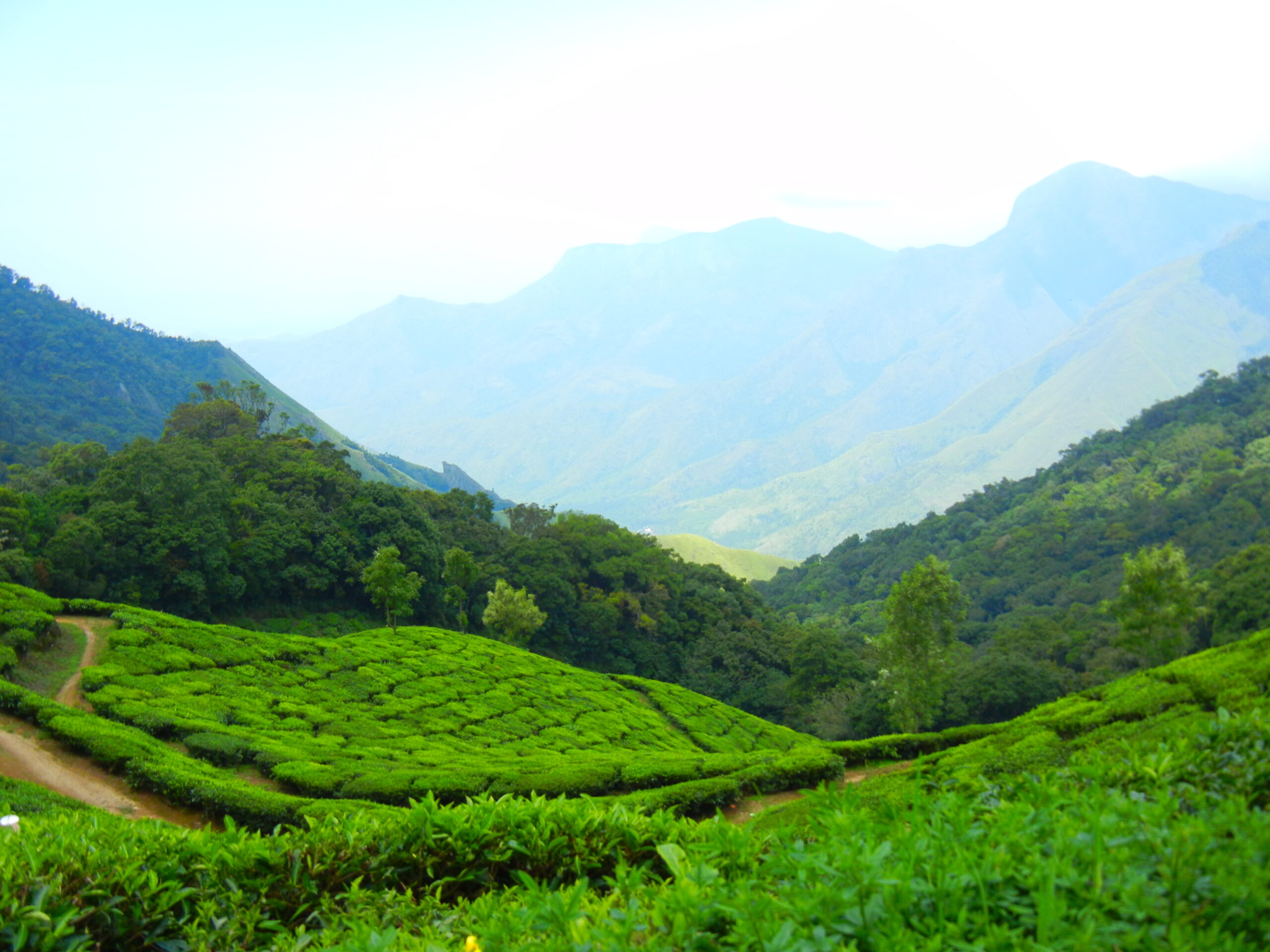 MUNNAR