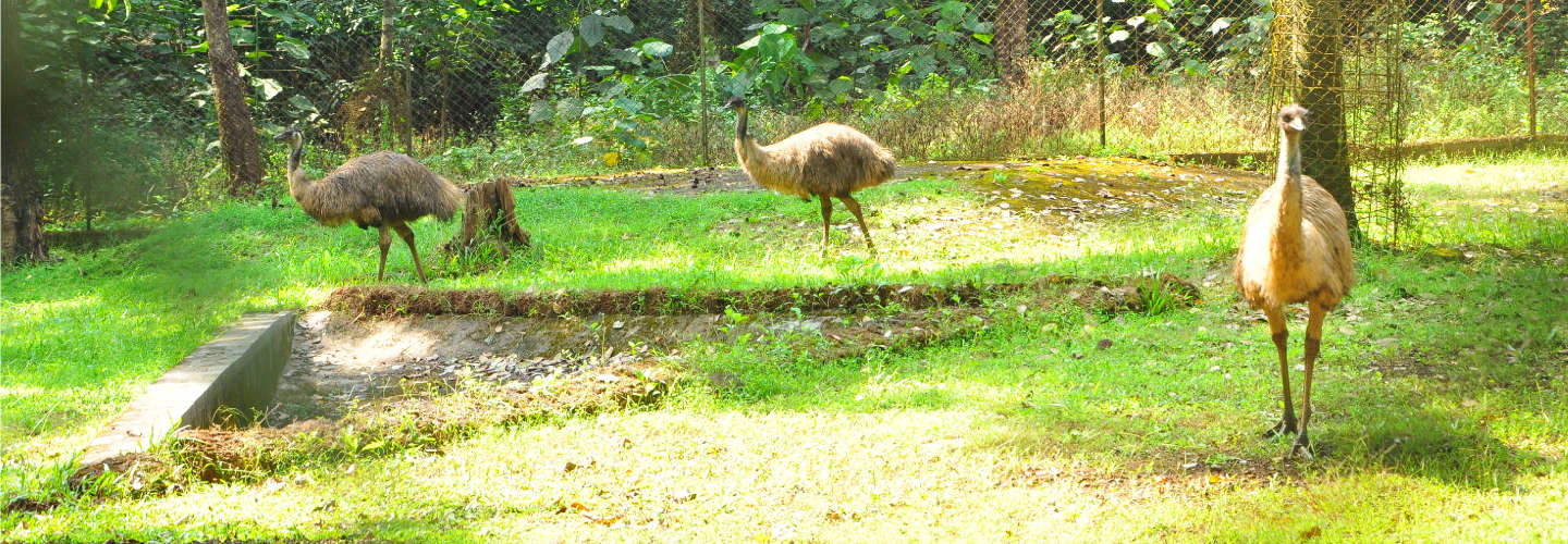 mahavir-sanctuary-banner