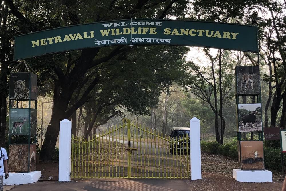 Netravali Wildlife Sanctuary
