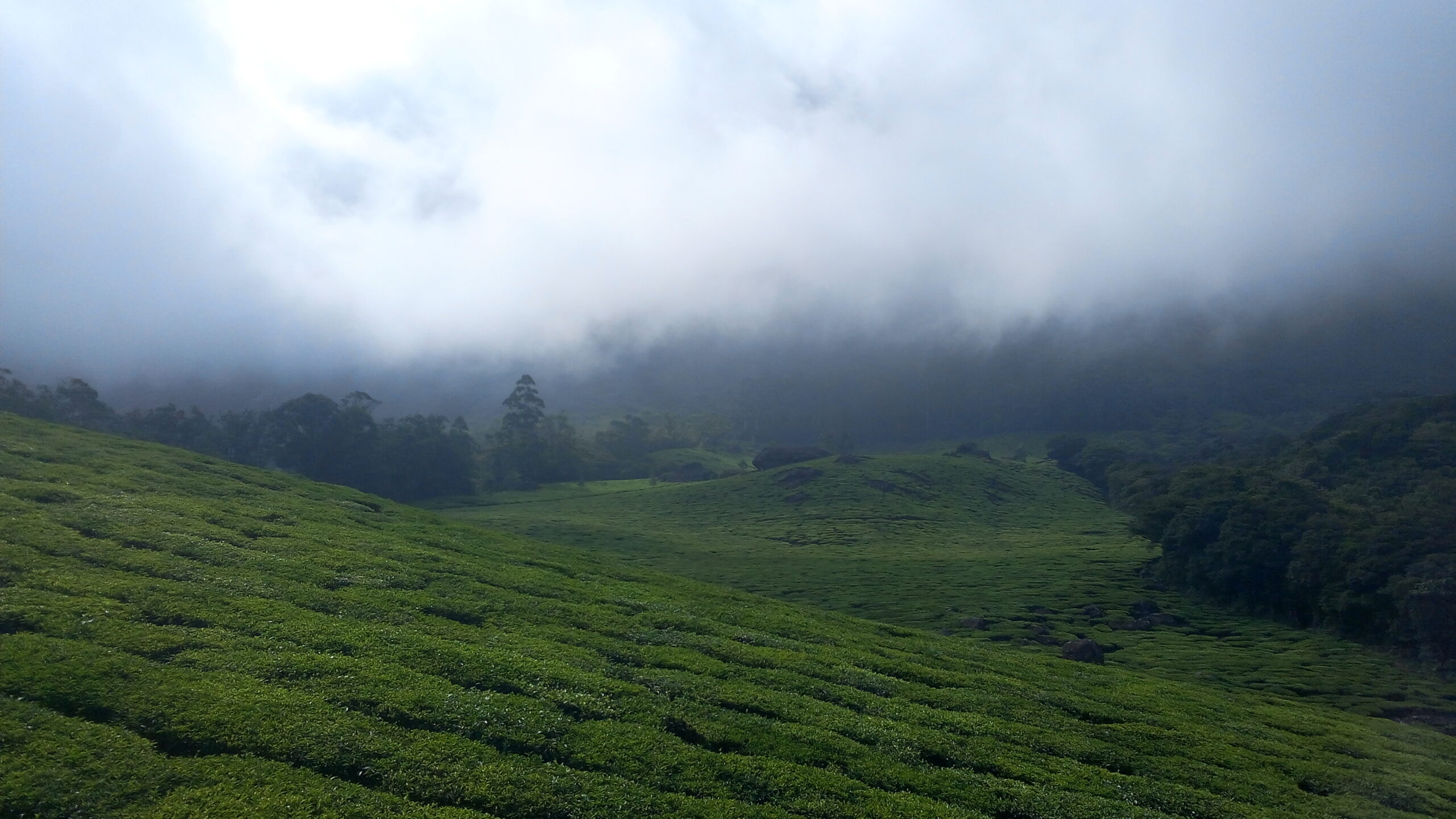 Munnar
