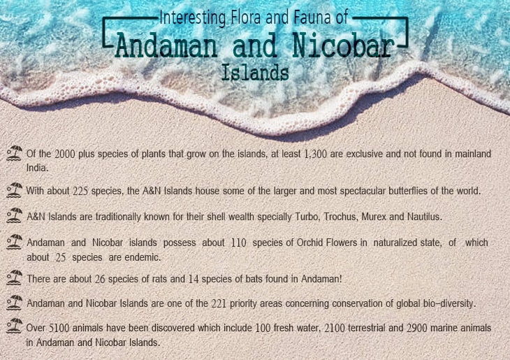 Flora and Fauna of Andaman and Nicobar Islands | SOTC