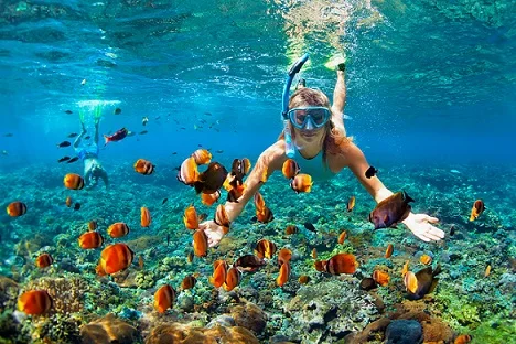 Do Snorkeling and Scuba Diving