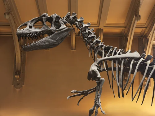 Natural History Museum