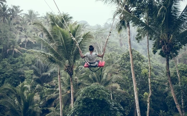 The Bali Swing