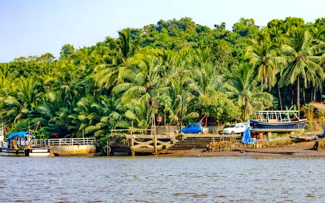 Chorao Island