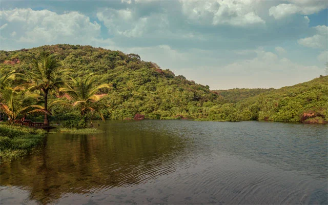 Freshwater Lake at Arambol