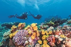Great-Barrier-Reef-4-1