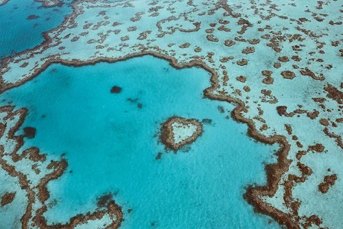 Heart-Reef-Whitsundays-region-Credit-Jason-Hill-and-Tourism-and-Events-Queensland-2