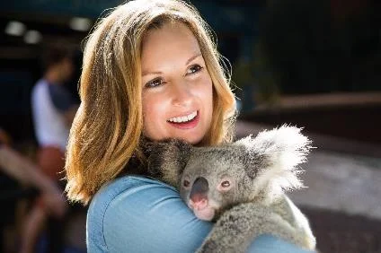 Wildlife-Experiences