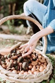 Best-coffee-spots-in-Brisbane-and-Sunshine-Coast