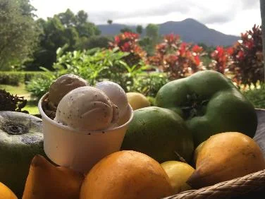 Daintree-Ice-Cream-Co.
