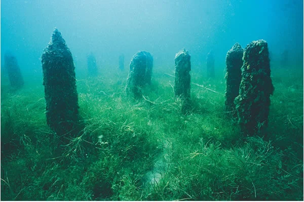 12-swiss-unesco-world-heritage-12