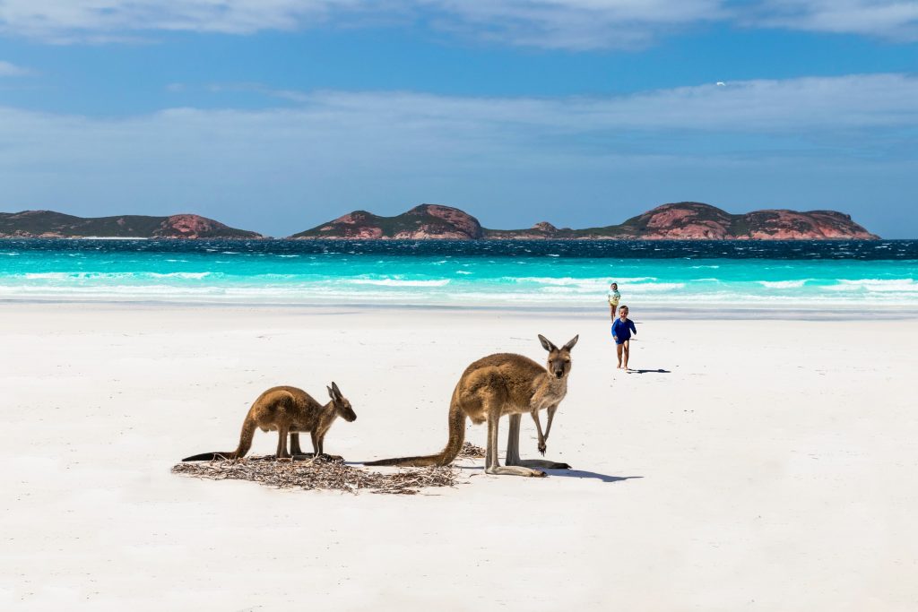 kangaroo_Island