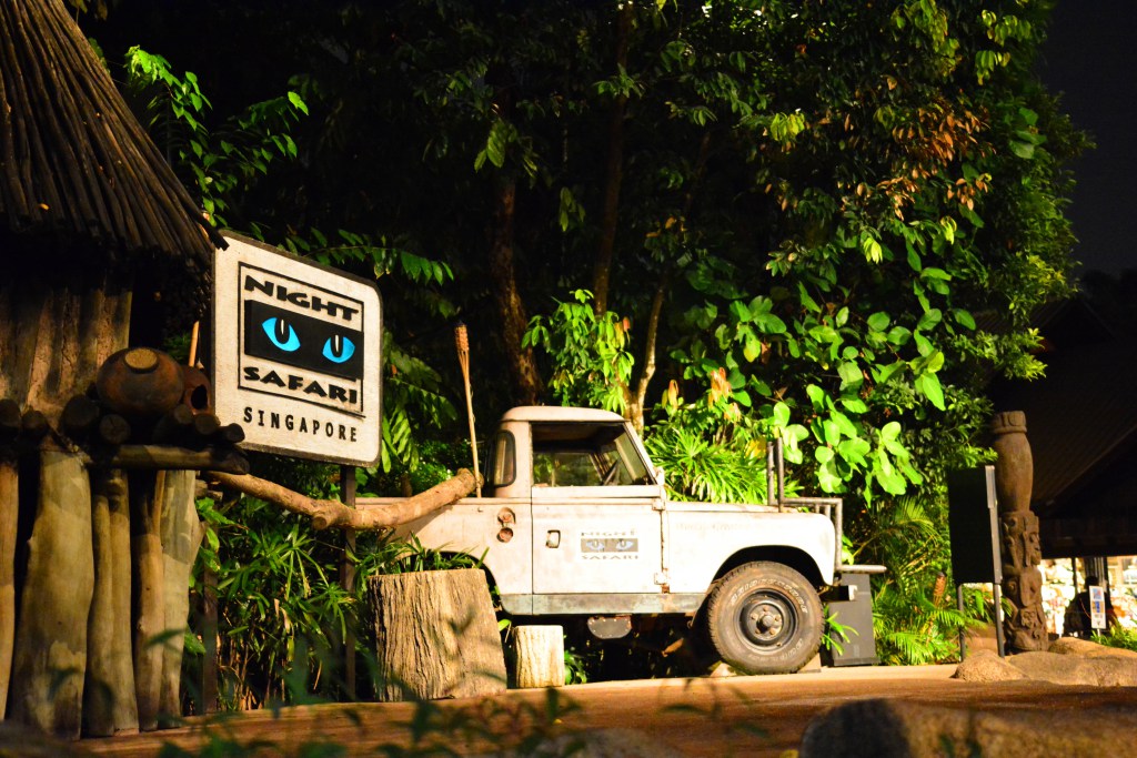 5 Reasons Why Singapore Night Safari is Worth the Expense