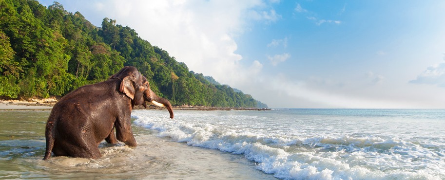 A Perfect Guide to Island Hopping in Andaman