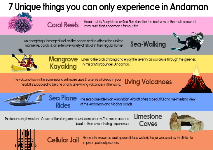 7 Unique Things You Can Only Experience in Andaman