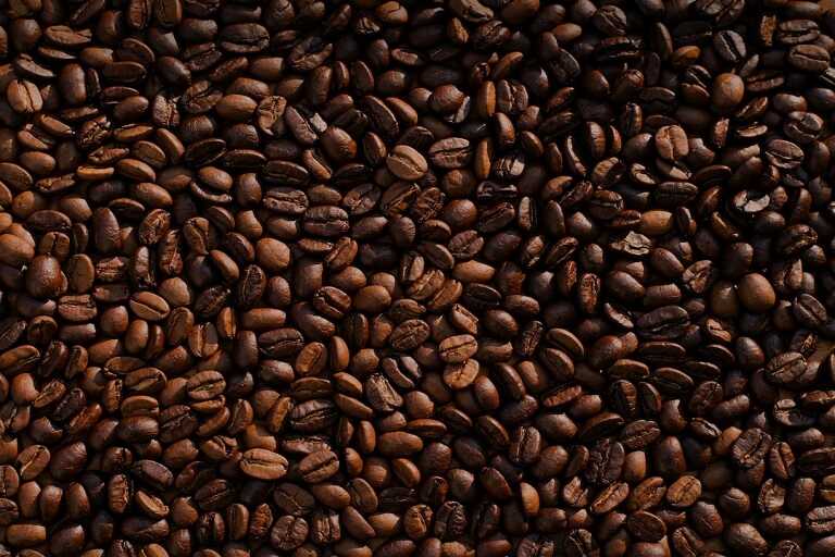 Coffee Beans in Coorg