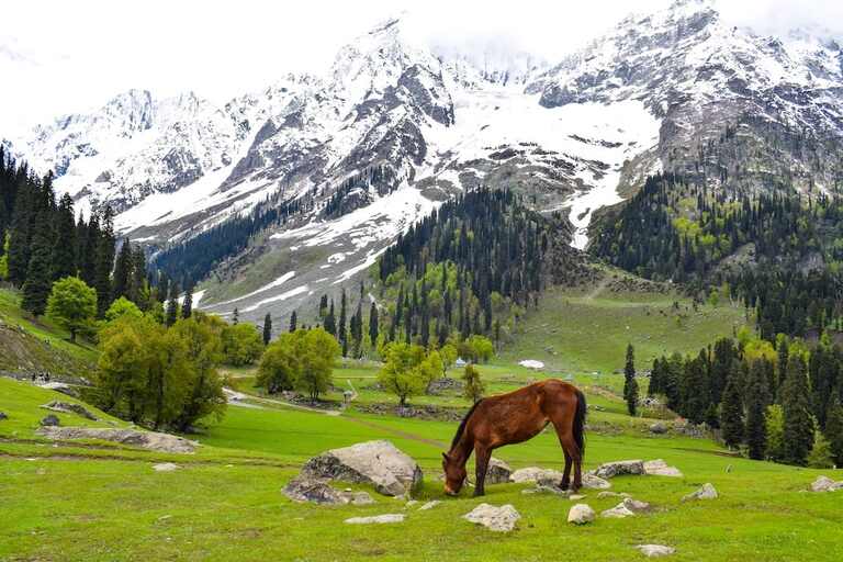Beautiful Kashmir Valleys