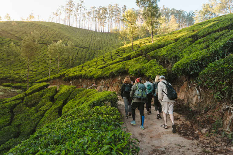 Munnar Magic