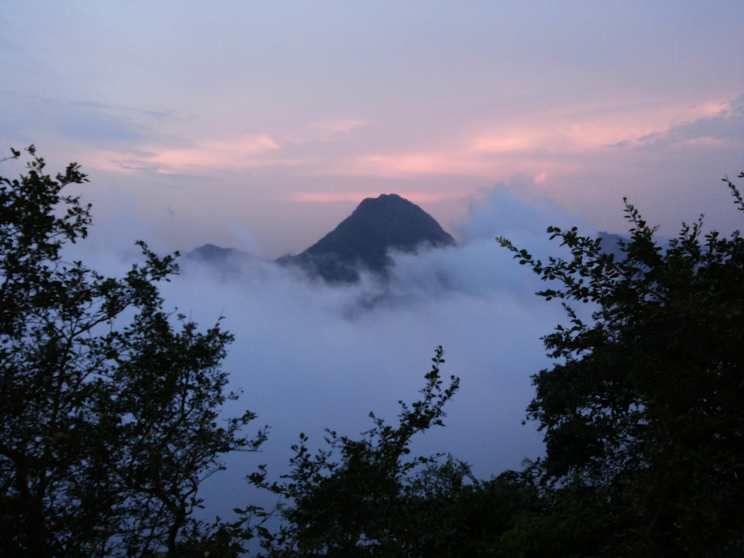 Near_Mount_Abu_Tracking_Camp_NP