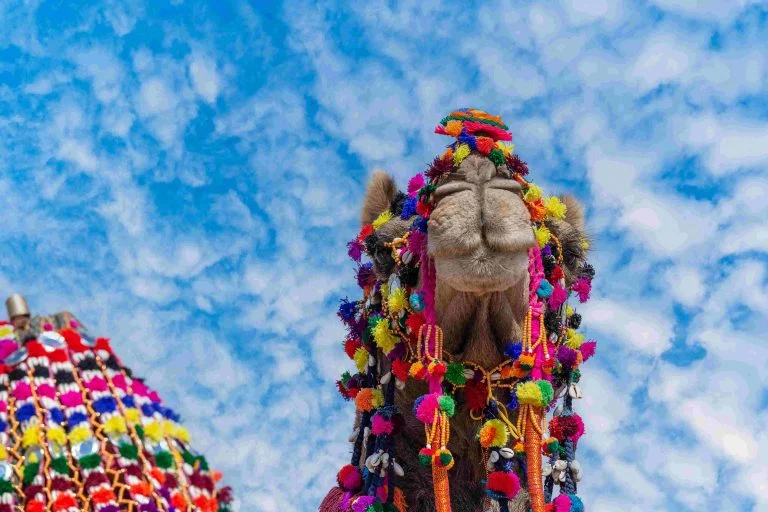 Pushkar fair