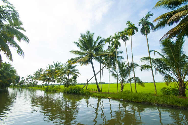 Alleppey