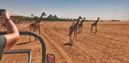 4. Do Not Miss Out on These Activities