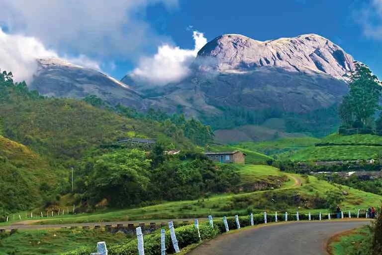 Munnar, Kerala