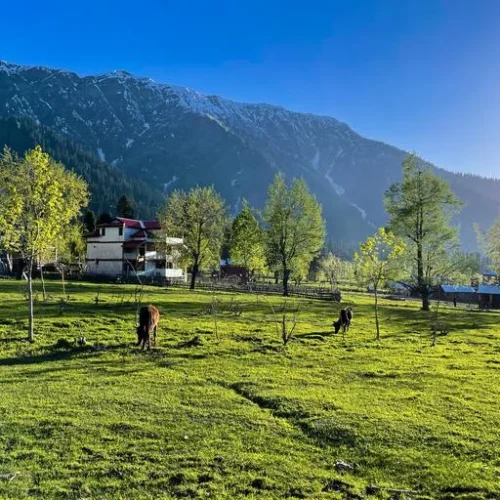 Khajjiar-landscape