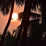 Top Beaches in Alleppey for Every Type of Traveler