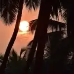 Top Beaches in Alleppey for Every Type of Traveler