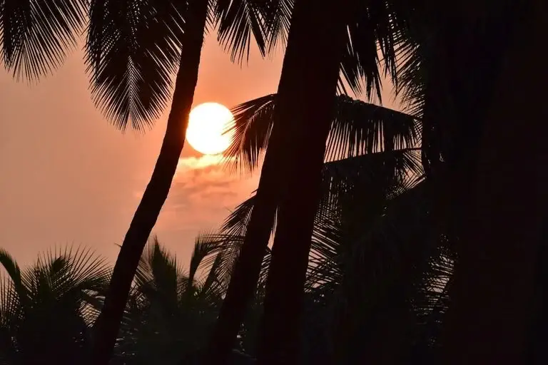 Top Beaches in Alleppey for Every Type of Traveler