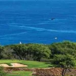 Discover Tropical Treasure in Hawaii