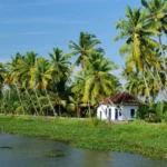 7 Experiences You Won’t Get Anywhere Other Than Kerala