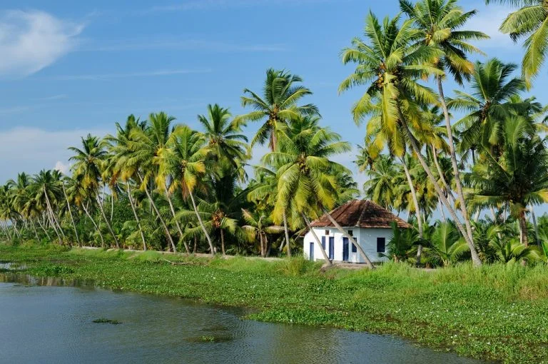 7 Experiences You Won’t Get Anywhere Other Than Kerala