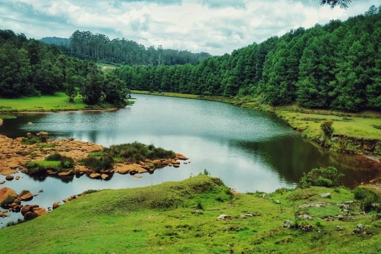 Lakes in Ooty: Tranquil Escapes in the Queen of Hills