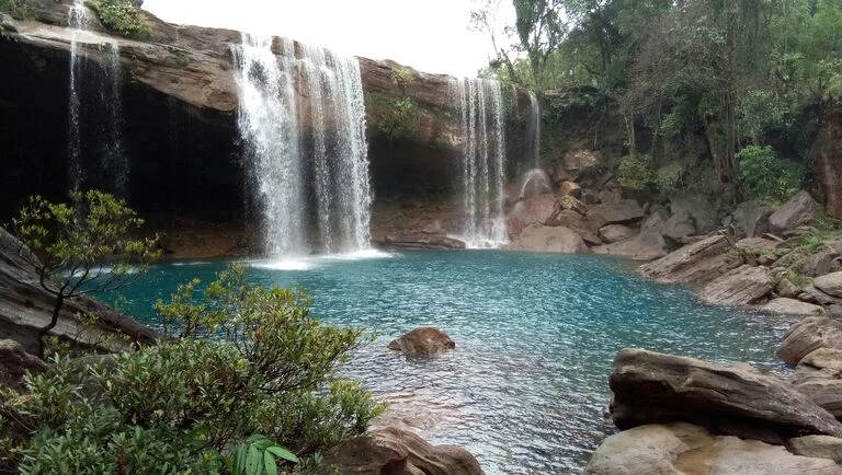 Top 10 Breathtaking Waterfalls in Meghalaya You Shouldn’t Miss