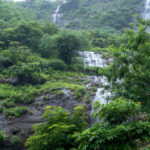 Explore the List of Top Lonavala Waterfalls That You Must Visit This Monsoon
