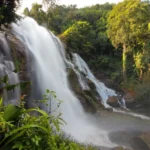 10 Must-Visit Waterfalls in Kerala for a Scenic Escape