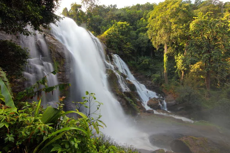 10 Must-Visit Waterfalls in Kerala for a Scenic Escape
