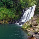 Top 10 Waterfalls in Rishikesh for an Adventurous Getaway