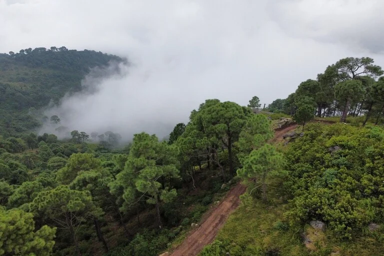 Morni-Hills-Panchkula